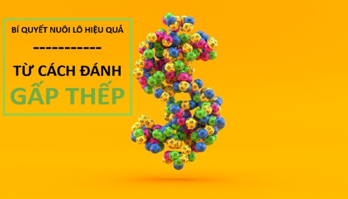 Cách đánh gấp thếp - Kinh nghiệm nuôi lô lãi siêu to khổng lồ Cách đánh lô gấp thếp - Phương pháp đánh lô không thua