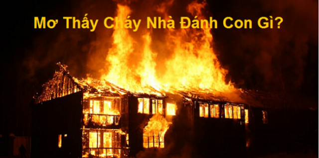 mo thay chay nha danh con gi