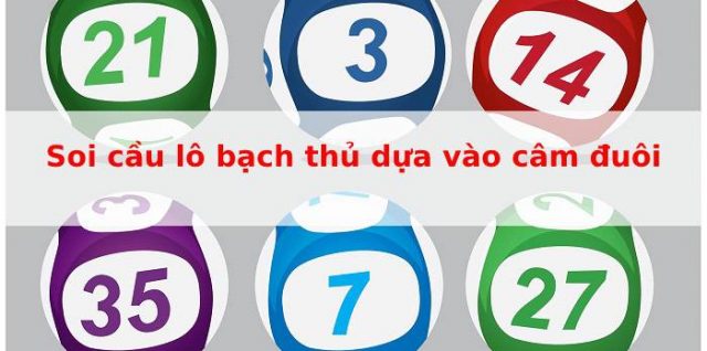 Soi cầu lô bạch thủ lô dựa vào câm đuôi